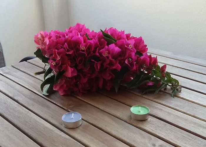 Naxos Olive & Apartman