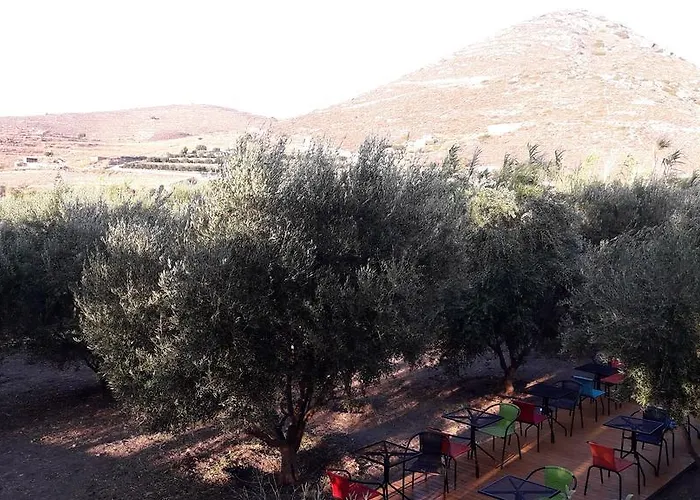 Naxos Olive & Apartman *