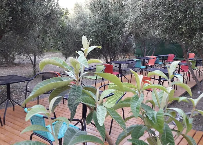 Naxos Olive & Apartman Engaraí