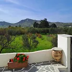 Apartment Naxos Olive &
