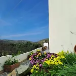 Apartment Naxos Olive & Engares
