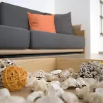 Naxos Olive & Apartamento Engaraí