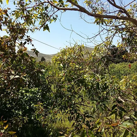 Апартаменты Naxos Olive &