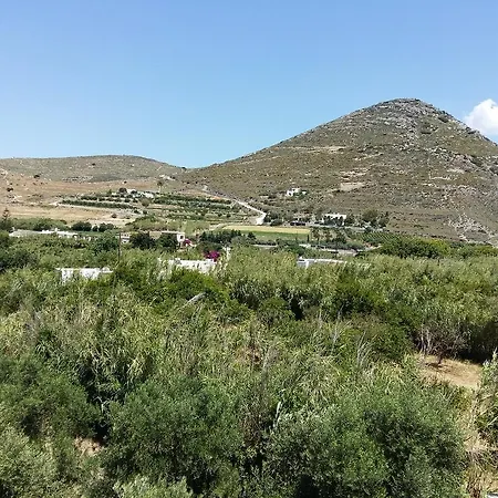 Апартаменты Naxos Olive & *