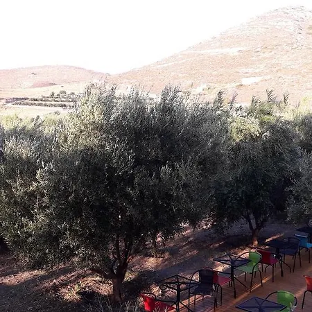 Naxos Olive & Апартаменты *