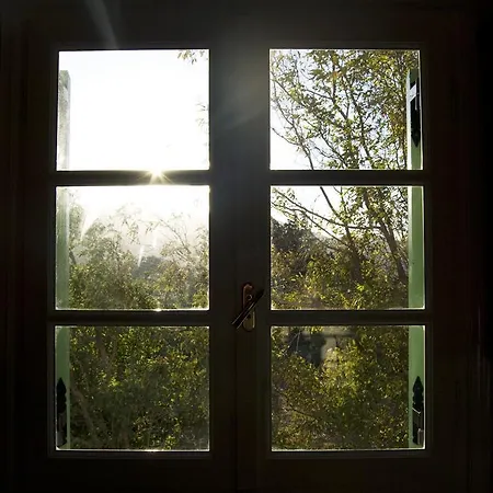 Апартаменты Naxos Olive & *