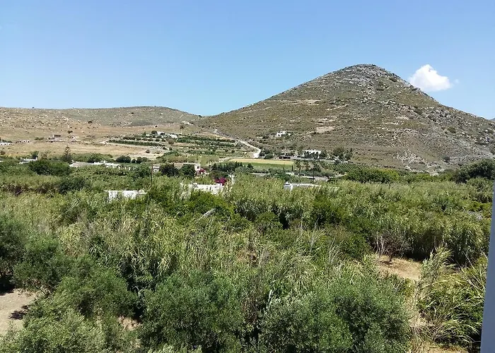 Apartment Naxos Olive & *