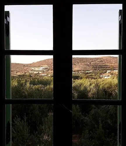 Naxos Olive & Apartment