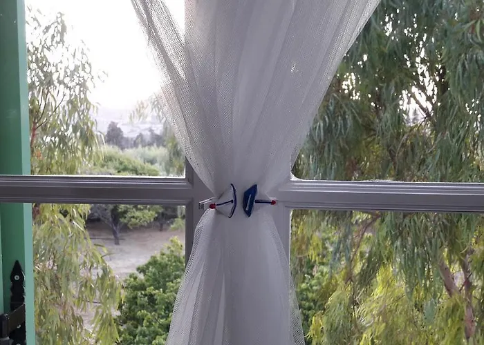 Apartment Naxos Olive & Engares