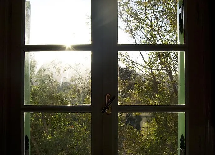 Apartment Naxos Olive & *