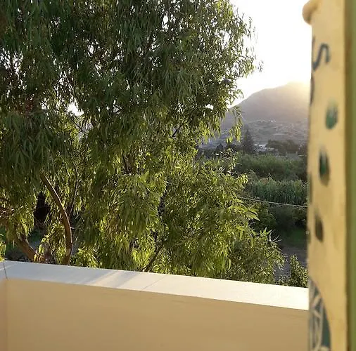 Apartment Naxos Olive & *