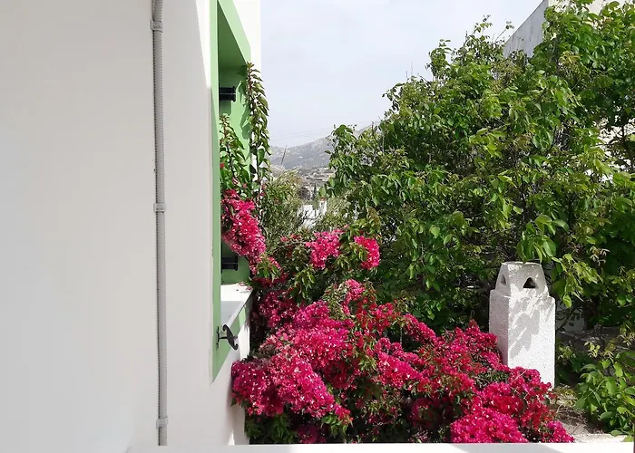 Apartment Naxos Olive &