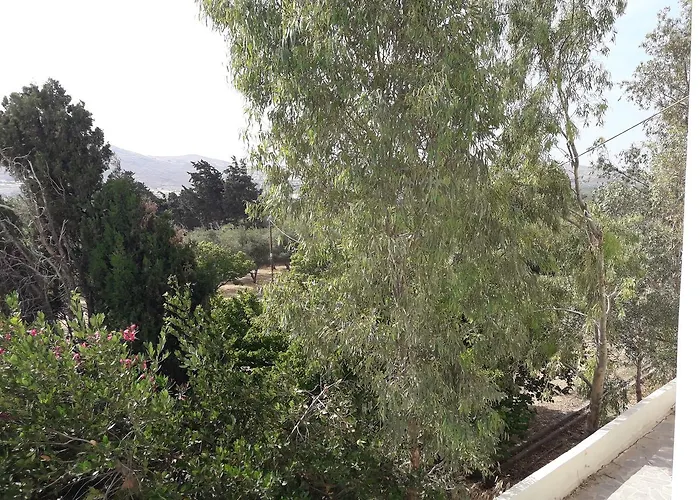 Naxos Olive & Apartment *